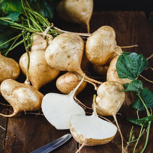Exclusive Offer💥Rich, Juicy and Nutritious Crispy Fruit -Sweet Jicama for Planting in Your Home🍠