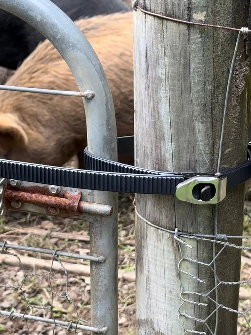 Lock Down Your Gear with Ease – Grip Lock Straps (Set of 4)