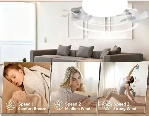 Fan Light