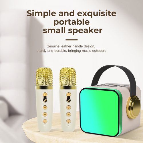 🎶Handheld Karaoke Microphone Portable Home Singing Amplifier with Wireless Microphones🎤🎙️