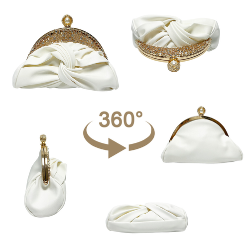 Stylish Elegant Evening Clutch