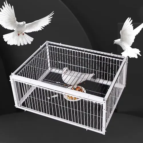 Pigeon cage