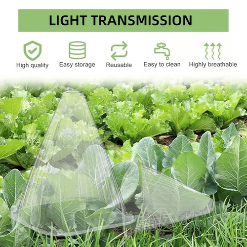 50 PCS Clear Garden Cloche for Plants