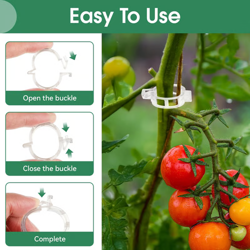 Tomato Clips,Vine clipPlastic Trellis Clips（100pcs）