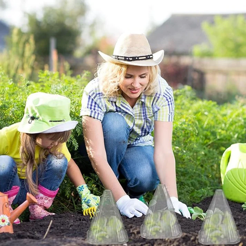 50 PCS Clear Garden Cloche for Plants