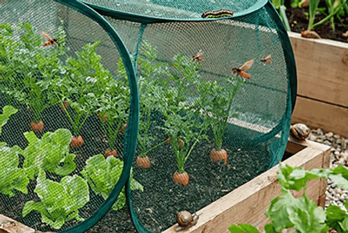 Pop-Up Mesh Plant Cover