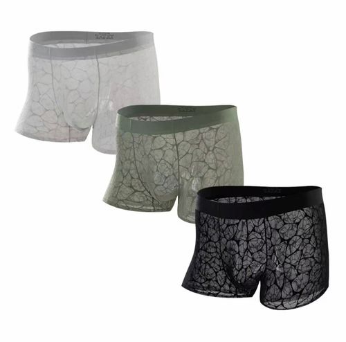 5 Points Men's Ultra-Thin Lace Mesh Boxer Briefs
