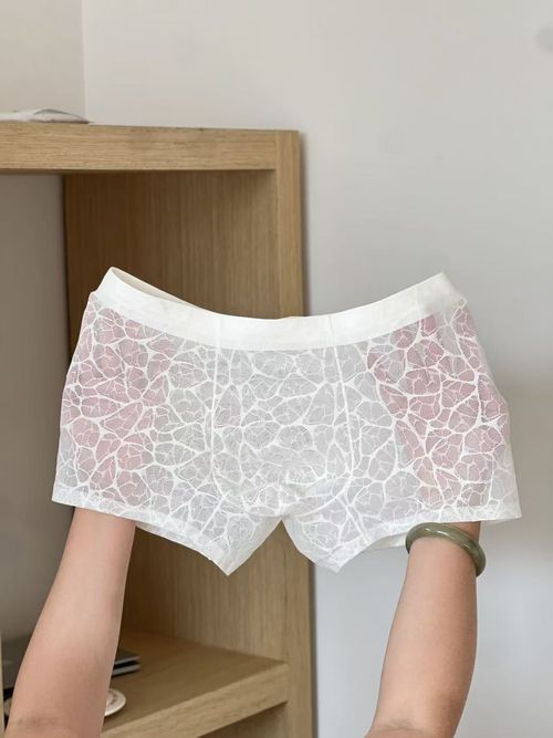 4Points Men's Ultra-Thin Lace Mesh Boxer Briefs