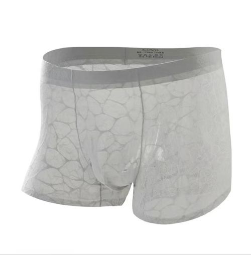 4Points Men's Ultra-Thin Lace Mesh Boxer Briefs