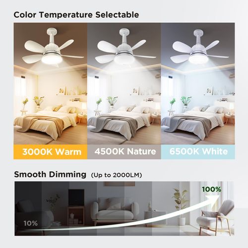 Socket Fan