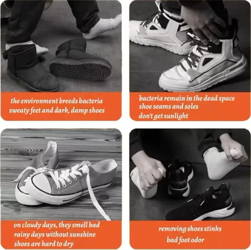 Multifunctional Shoe Dryer