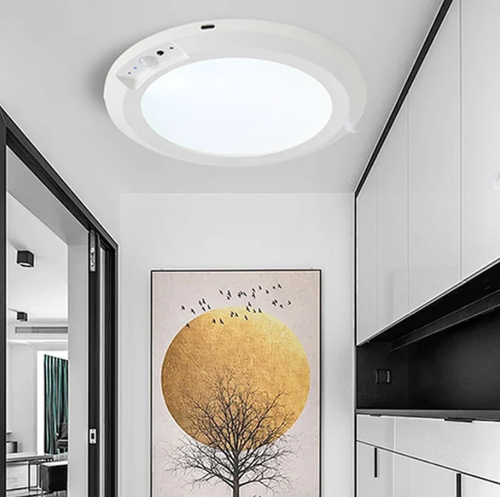 💡Rechargeable Motion Sensor Ceiling Light with Remote