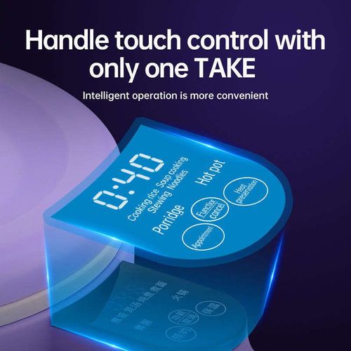 Mini electric hot pot