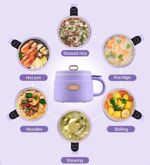 Mini electric hot pot