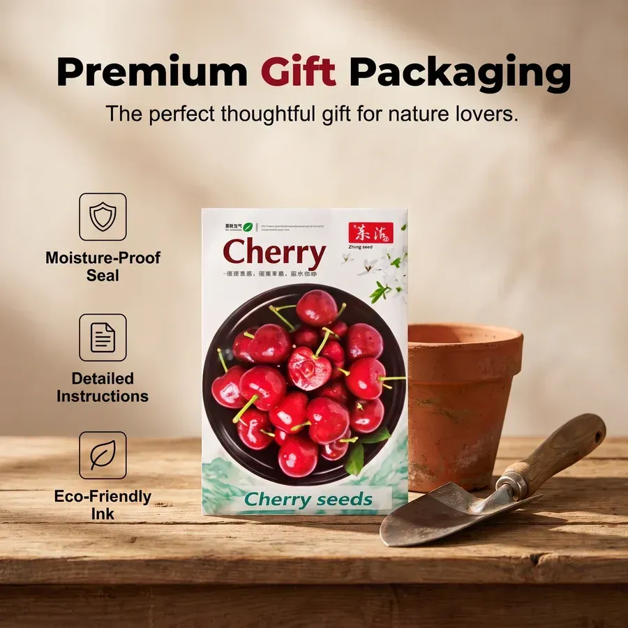 Premium sweet cherry pits800pc