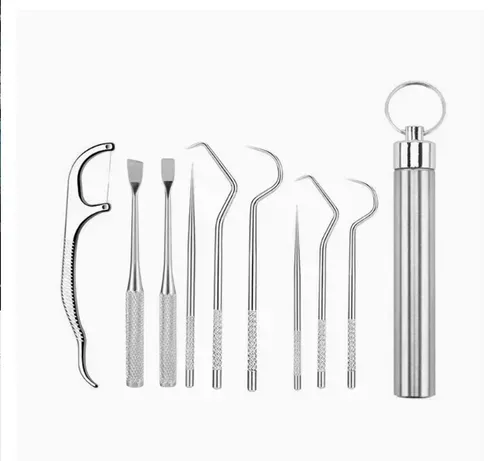 🔥Stainless Steel Toothpick Set 9pcs