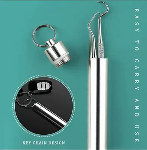 🔥Stainless Steel Toothpick Set 9pcs