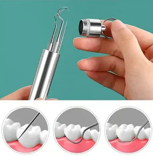 🔥Stainless Steel Toothpick Set 9pcs