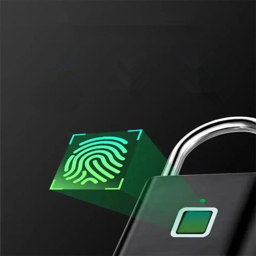 Smart home fingerprint lock keyless waterproof anti-theft smart lock fingerprint padlock zinc alloy smart security