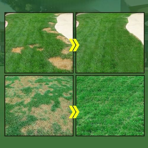 zhy-cepin🔥GreenRevive HydroSeeding Lawn Solution