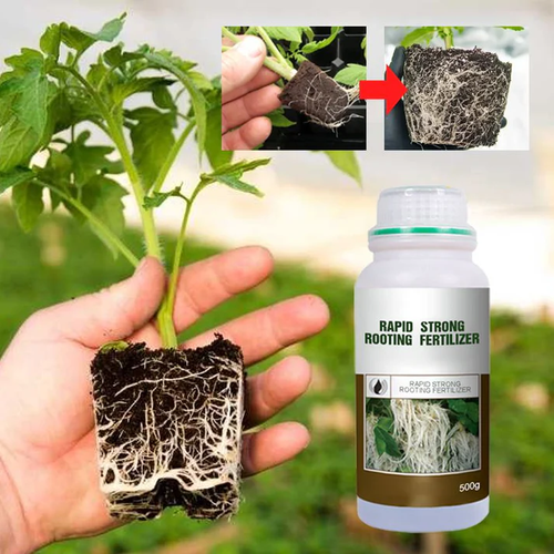 Rapid Strong Rooting Fertilizer