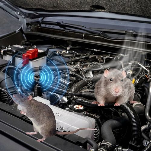 ✨DLJ-CePin✨All Purpose Rodent Repellent Spray