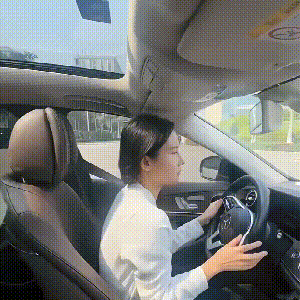 🎁 Car Headrest & Lumbar Support Cushion