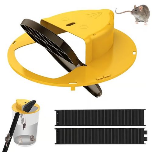 Bucket Lid Mouse Trap  🔥