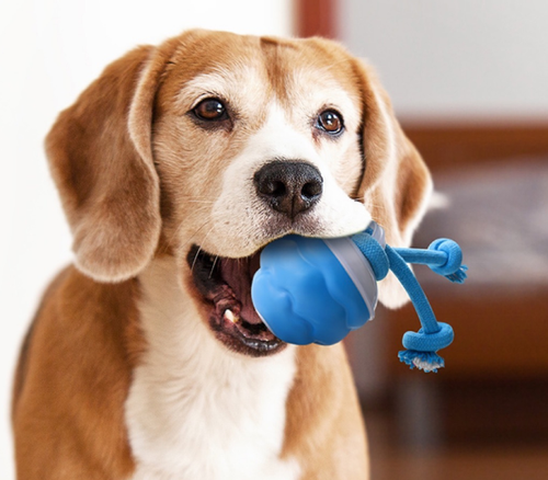 2025 New Smart Interactive Dog Squeaky Ball Toy - Automatic Moving Rolling Ball with Removable Rope, Wicked Active Dog Toy for Interactive Play