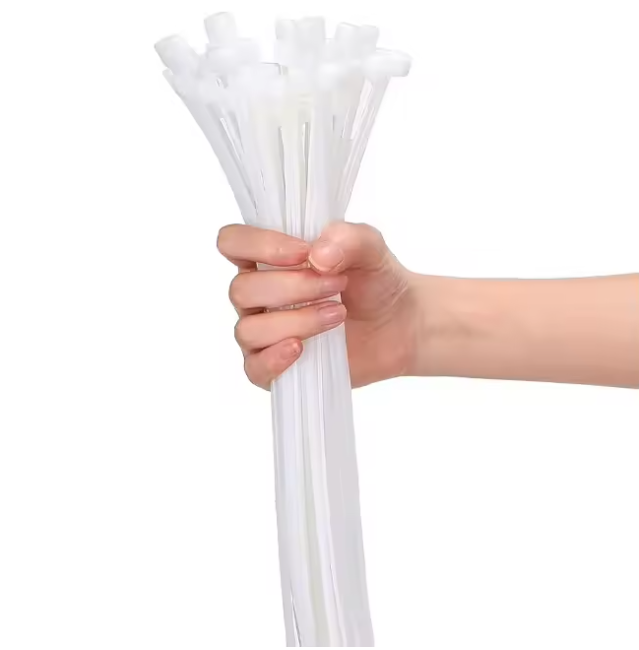 100pcs per pack 6.8*250mm Self-Locking Plastic Nylon Cable Ties Eco-Friendly for Home & Warehouse Storage
