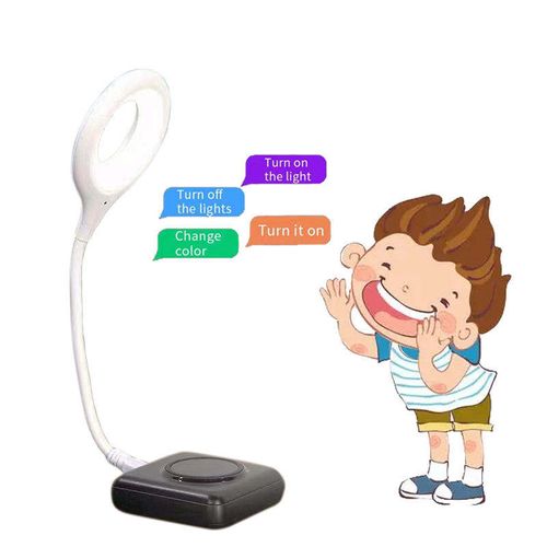 Modern USB Smart Voice LED Mini Portable Reading Small Table Lamp Plug-in Battery Voice-Controlled Night Light for Bedroom