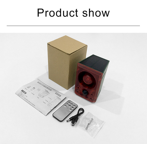 Solar Alarm
