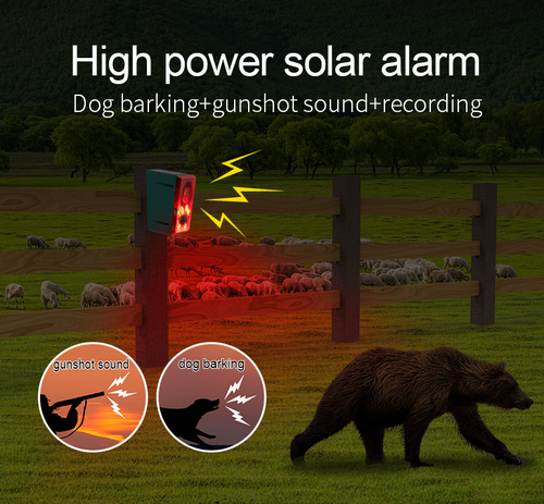 Solar Alarm