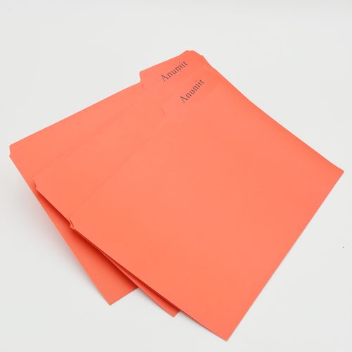 Anumit 100 Packs Stationery folders, Red File Folders Letter Size File Folder for Documents, Folder for Filing Cabinet, Office Supplies Folder