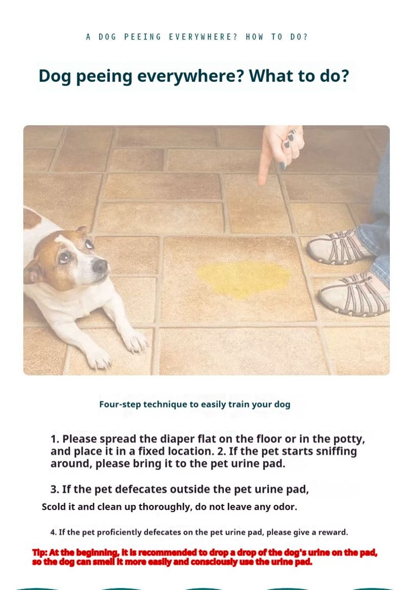 Pet pee pads  pet training tools  solve pet ownership problems Reusable  Machine washable Suitable for indoor and outdoor use.