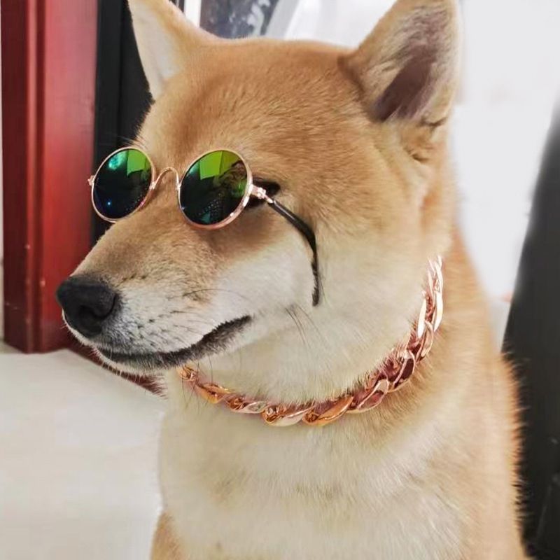 Pet Gold Chain Necklace – Lobster Clasp Design, Adjustable Length Adds a Bold, Powerful Look — Perfect for Cats and Dogs