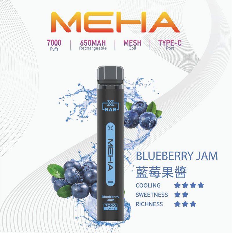 MEHA XBAR 小黑條一次性電子煙7000 口量｜拋棄式小煙大容量多味選擇｜台灣正版