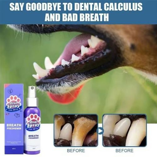 Pet Teeth Cleaning Spray-💥💥Buy 3 Get 2 Free & Free Shipping