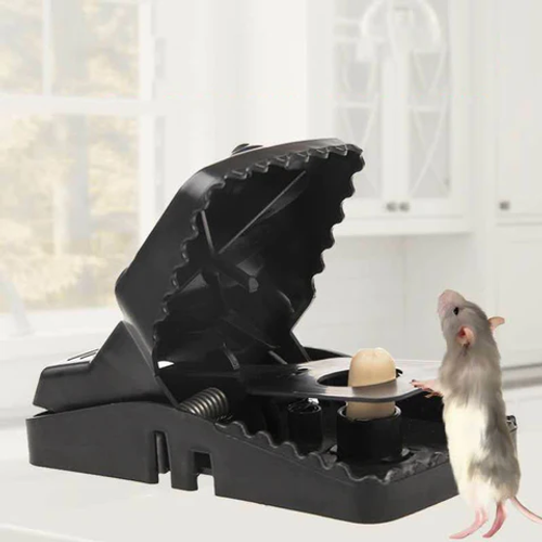 New Snap Mouse Trap