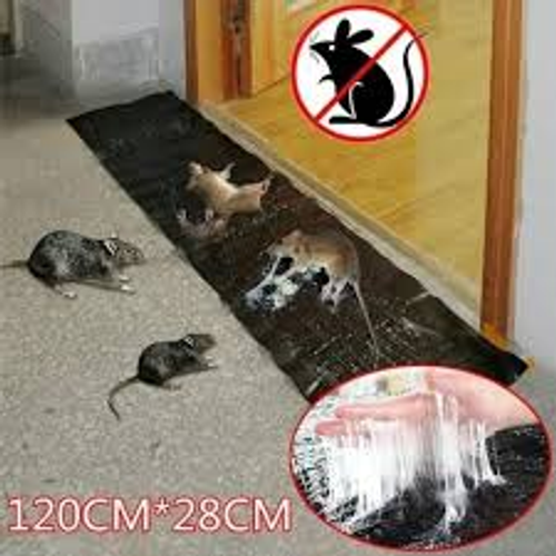 MOUSE GLUE TRAP(100% RESULT)