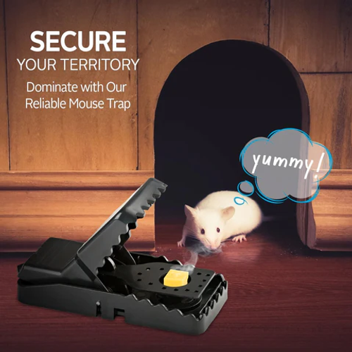 New Snap Mouse Trap