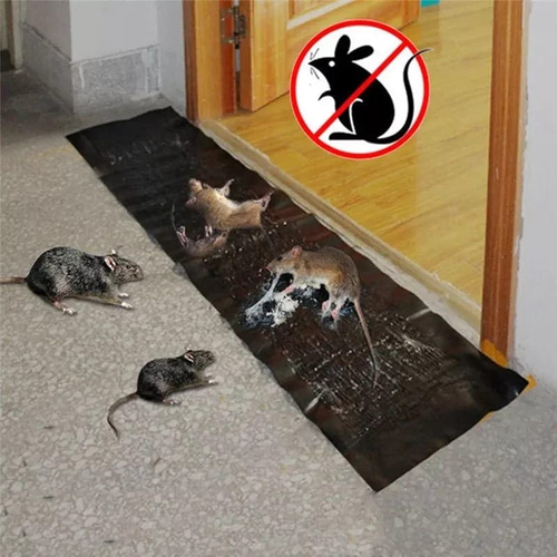 MOUSE GLUE TRAP(100% RESULT)