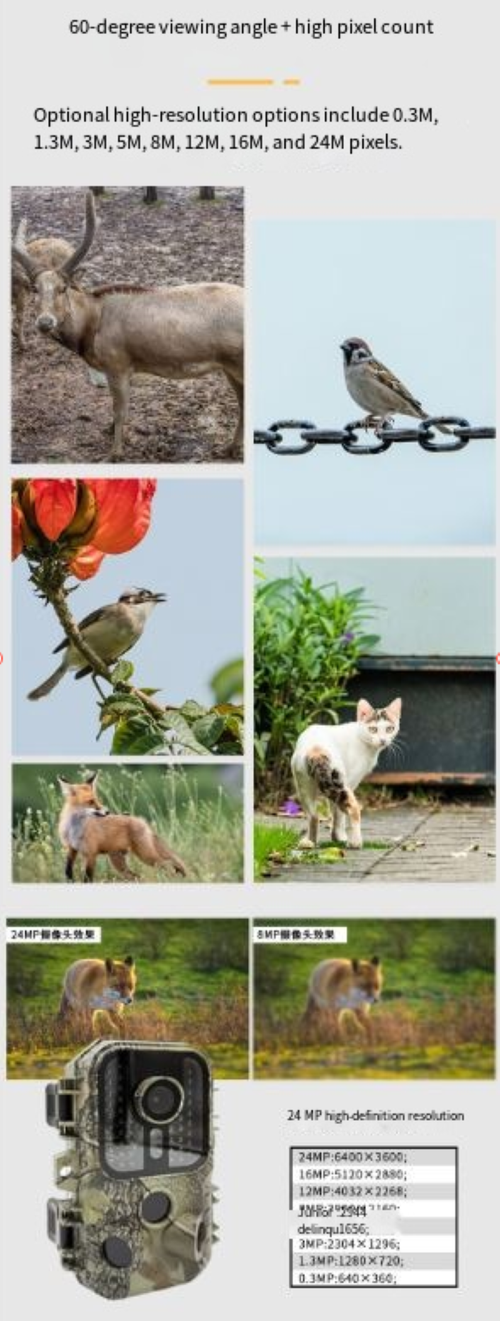 Câmera de detecção de animais ao ar livre, visão noturna infravermelha penetra na escuridão, imagens ultra-nítidas capturam detalhes, rastreamento de sensor garante momentos dinâmicos em segundos, camuflagem à prova d'água permite ocultação natural, tornando-se seu olho secreto para explorar animais selvagens e documentar maravilhas naturais.
