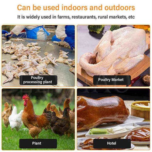 Household electric poultry plucker, plucking three chickens in 12 seconds