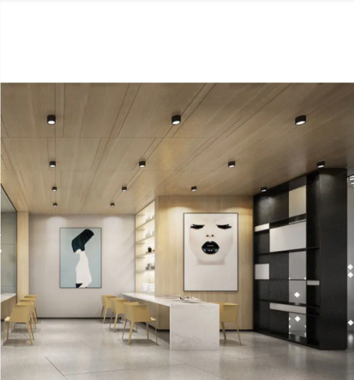 Luz de teto de escritório de moda montada na superfície Downlight Mini holofote de teto