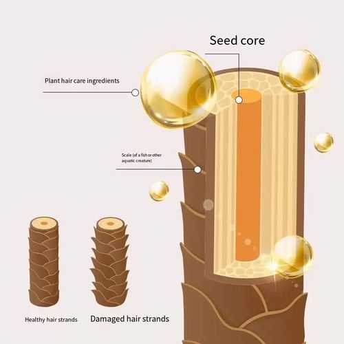 Uma tintura de cabelo de dose única condicionadora.  Se você fizer um pedido hoje, receberá 4 garrafas.  Isso cobre suas necessidades de tintura por meio ano.  Extrai extratos naturais de plantas como gengibre, ginseng e gergelim preto (sem componentes químicos irritantes).  Ao tingir, você não vai sentir cheiro forte.  proporciona uma sensação quente e confortável.  Ele pode cobrir cabelos brancos em apenas um passo.  Depois de tingir, o cabelo não vai se enroscar nem cair.