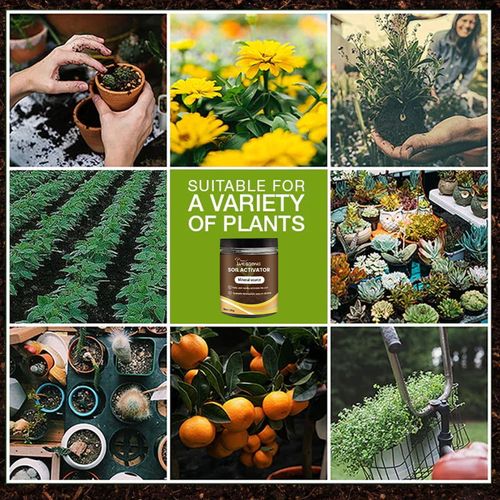 Say goodbye to stunted plants and rotten roots! YEG BONG Mineral Soil Activator: 120g in bottle, fully water-soluble, activates soil vitality, promotes root growth and plant health, suitable for succulents, green plants, fruit trees, vegetables, and enhances the efficiency of fertilizer utilization, a gardening tech innovation.
