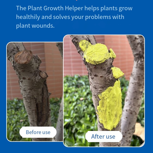 Esse agente restaurador pode promover a cicatrização de ferimentos vegetais.  Ao usá-la, aplique na área da ferida da planta, como mostrado na foto.  O agente restaurador amarelo é usado para as feridas nos galhos.  Se você fizer um pedido hoje, receberá 5 frascos de agente cicatrizador de tronco de planta, totalizando 1200 gramas.  Cada garrafa tem um conteúdo líquido de 500 gramas.  É conveniente e prático de usar.  É um excelente assistente para a manutenção da planta.
