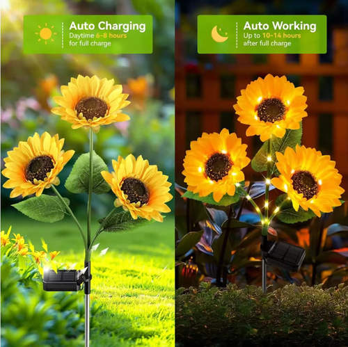 Faça o pedido hoje e você receberá 3 luminárias solares de girassol para pátios externos.   Não é necessário fiar e eles ligam e desligam automaticamente.   Com 6 a 8 horas de luz solar, a duração da iluminação pode chegar de 10 a 14 horas.   O design à prova d'água IP65 pode resistir à chuva e ao vento.   Múltiplas unidades podem ser combinadas para criar um pátio cheio de atmosfera.   É uma escolha ideal para iluminação e decoração externa, com efeito terapêutico.