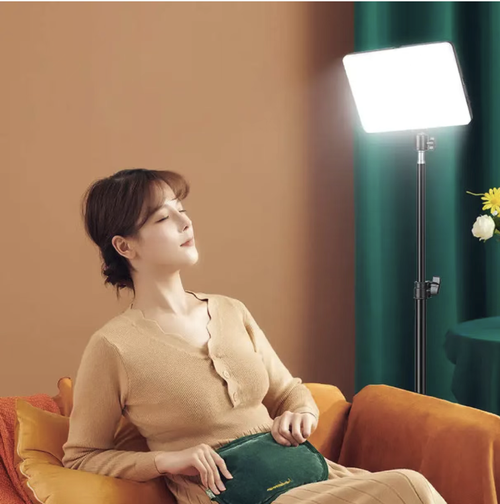 A luz profissional de transmissão ao vivo G-1300W possui uma tela grande de 40×28CM para iluminação uniforme, escurecimento contínuo de três cores e operação prática de controle remoto.  O suporte ajustável de 210CM é adequado para diversos cenários, reproduzindo com precisão tons de pele e detalhes do produto.  É uma ferramenta profissional de iluminação para streamers ao vivo e fotógrafos, criando facilmente uma sala de transmissão ao vivo em alta definição.